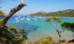 Île de Porquerolles