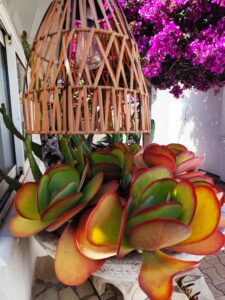 Location de vacances à Ollioules