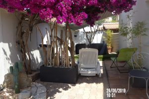 Location Ollioules PACA - Le petit paradis