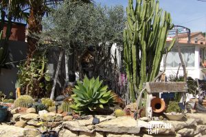 Location Ollioules PACA