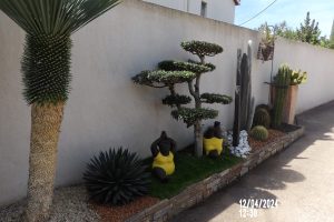 Location Ollioules PACA - Le petit paradis