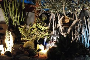 Location Ollioules PACA - Le petit paradis
