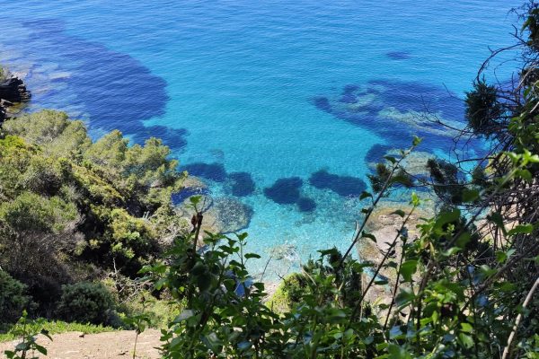 Location de vacances à Ollioules