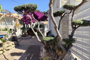 Location Ollioules PACA - Le petit paradis